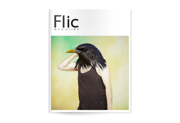 Flic Magazine Issue#9_Portada Issuu